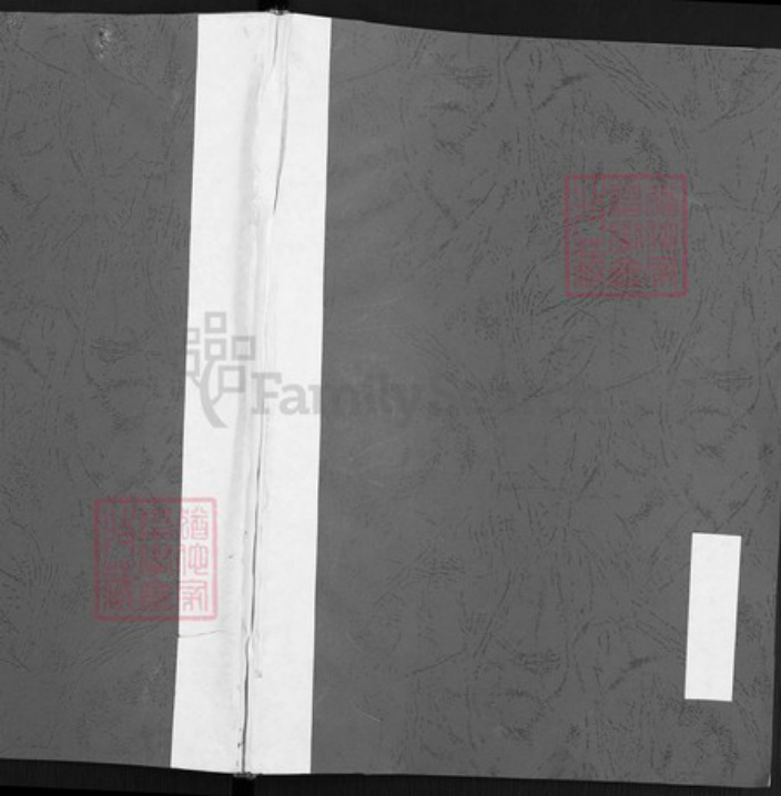 山西省阳泉市平定县冶西镇赵氏族谱-赵家村赵氏阳眷股家谱.pdf电子版