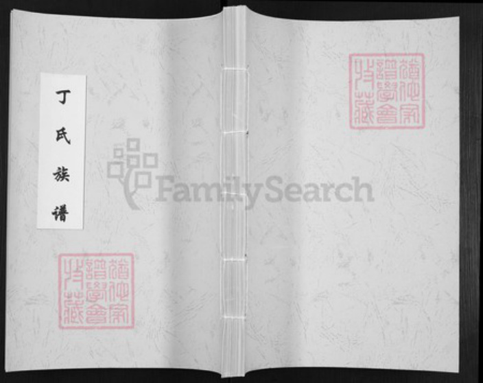 山东省济宁市梁山县丁氏族谱-丁氏族谱.pdf电子版