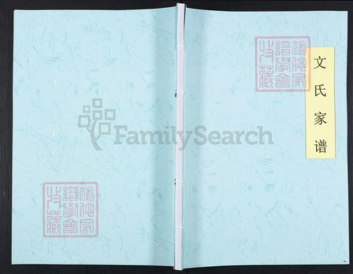 重庆市巴南区文氏族谱-文氏家谱.pdf电子版