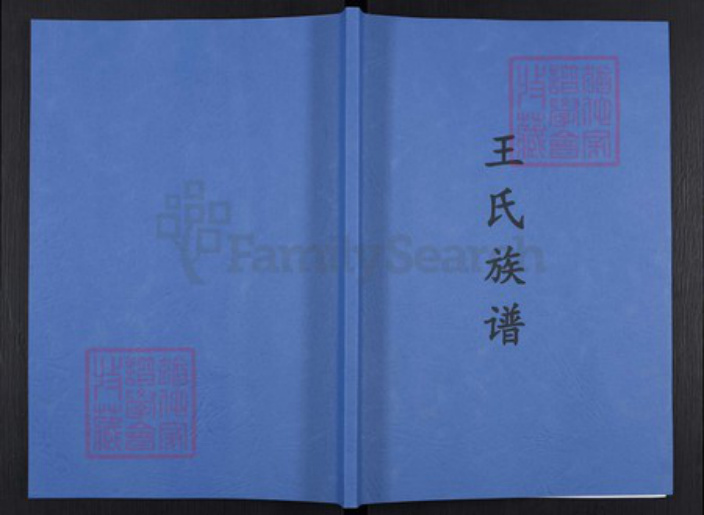 重庆市渝北区王氏袭槐堂族谱-王氏族谱.pdf电子版