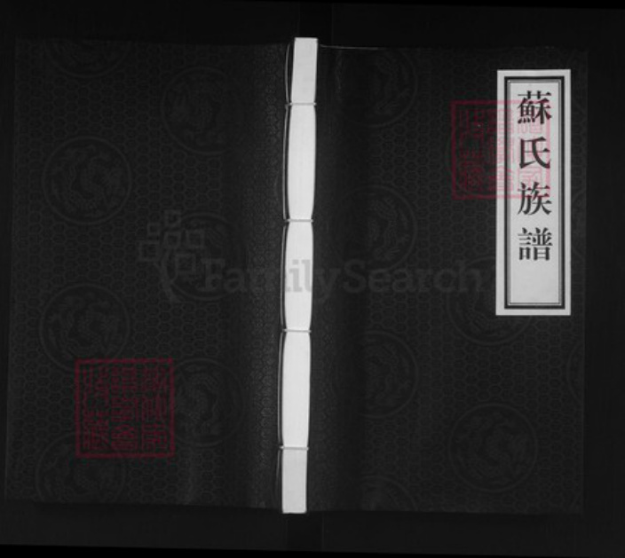 河北省沧州泊头市泊镇镇苏氏族谱-苏氏族谱.pdf电子版