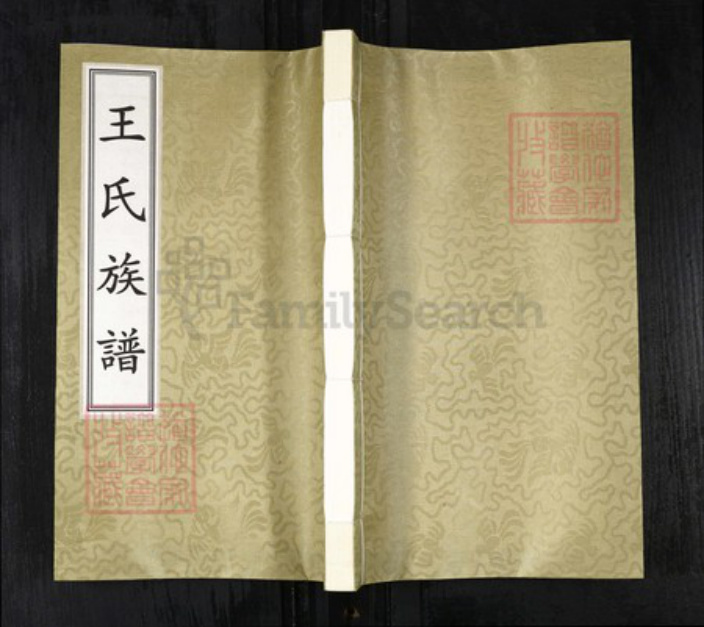 江西省九江市德安县王氏三槐堂族谱-王氏族谱.pdf电子版