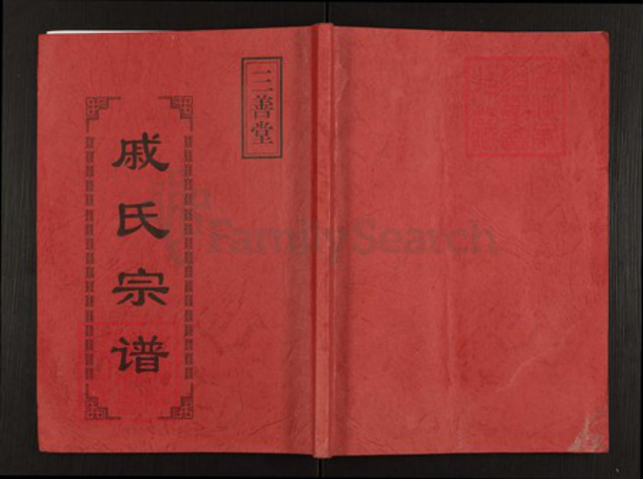 江苏省盐城市阜宁县板湖镇戚氏三善堂族谱-戚氏宗谱.pdf电子版