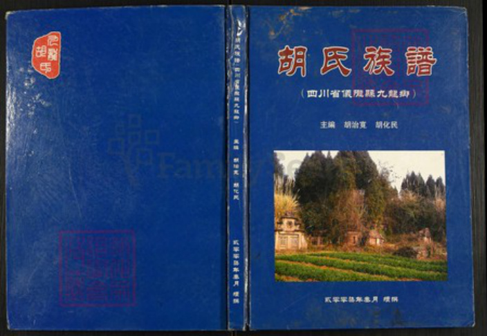 四川省南充市仪陇县四川省南充市仪陇县胡氏族谱-胡氏族谱.pdf电子版