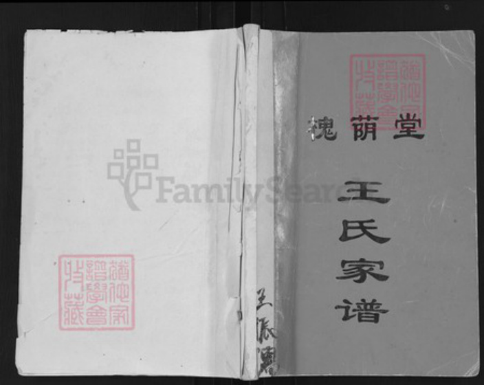 江苏省扬州市高邮市界首镇王氏槐荫堂族谱-王氏家谱.pdf电子版插图 江苏省扬州市高邮市界首镇王氏槐荫堂族谱-王氏家谱.pdf电子版插图