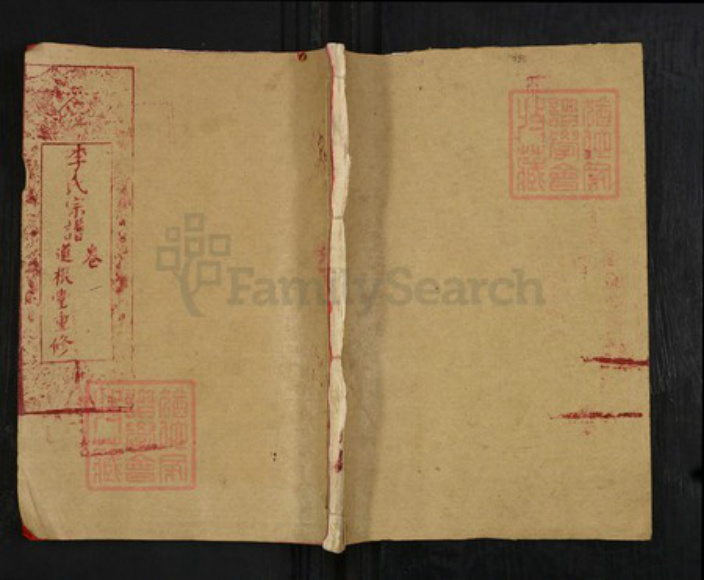 湖北省黄冈市武穴市李氏道根堂族谱-李氏宗谱.pdf电子版