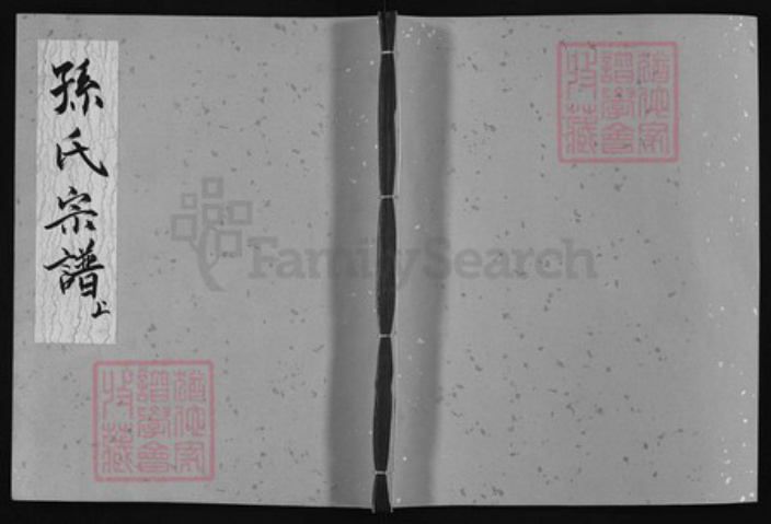 安徽省黄山市休宁县孙氏族谱-孙氏宗谱 [上下册].pdf电子版