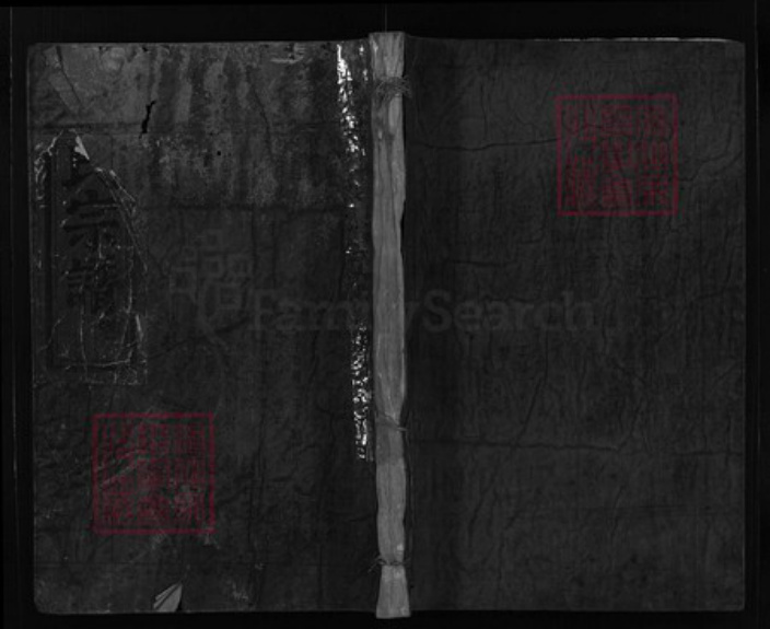 浙江省温州市平阳县廖氏族谱-廖氏宗谱 [残卷].pdf电子版