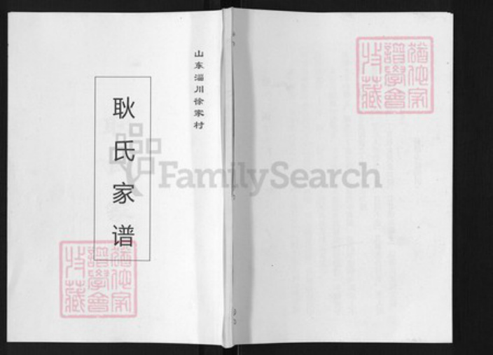 山东省淄博市淄川区耿氏族谱-耿氏家谱.pdf电子版