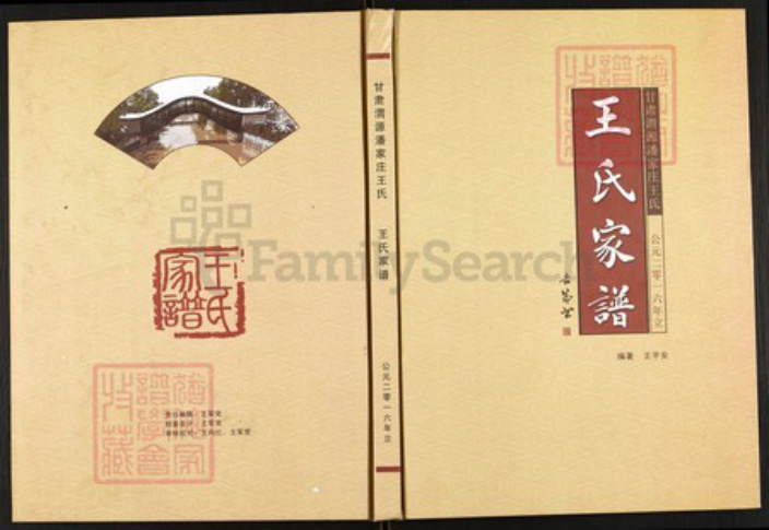 甘肃省定西市渭源县王氏族谱-王氏家谱.pdf电子版