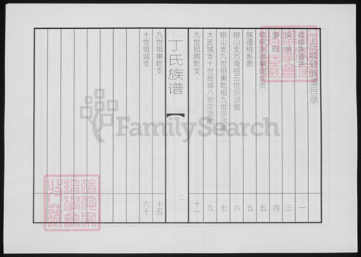 山东省聊城市东阿县山东省泰安市丁氏族谱-丁氏续修族谱.pdf电子版