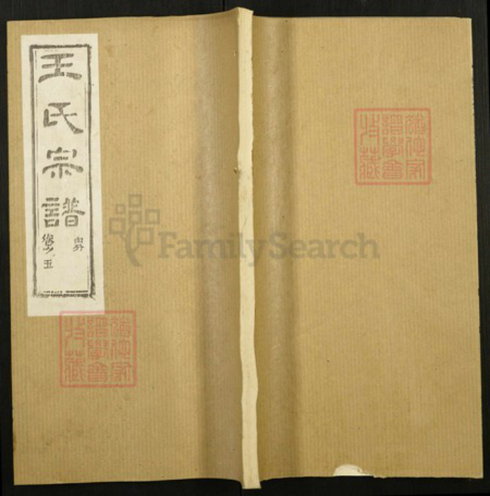 江西省宜春市王氏族谱-王氏宗谱.pdf电子版