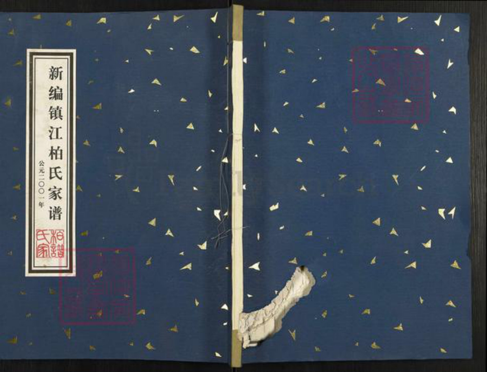 江苏省镇江市扬中市三茅街道柏氏族谱-新编镇江柏氏家谱.pdf电子版