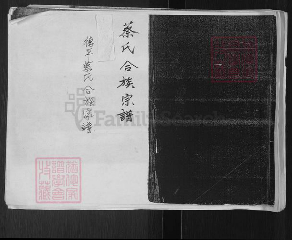 山东省德州市临邑县德平镇蔡氏族谱-德平蔡氏合族家谱.pdf电子版