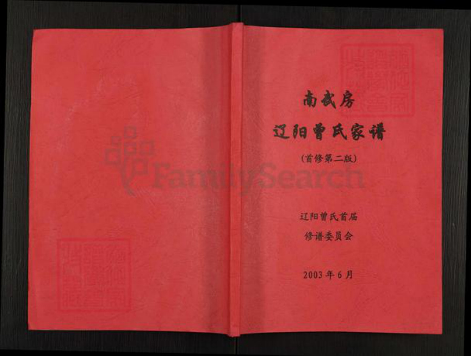 辽宁省辽阳市辽阳县曾氏族谱-南武房辽阳曾氏家谱.pdf电子版