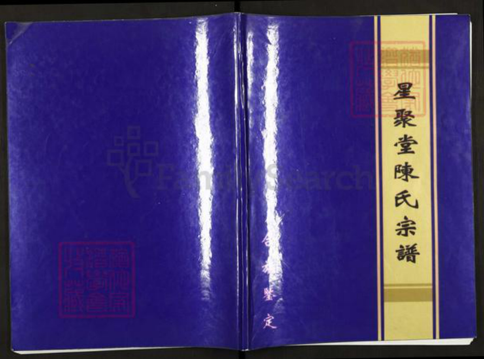 江苏省扬州市高邮市龙虬镇陈氏星聚堂族谱-星聚堂陈氏宗谱.pdf电子版