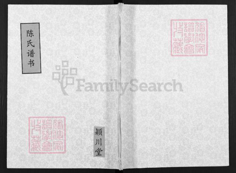 江苏省扬州市高邮市陈氏颖川堂族谱-陈氏谱书.pdf电子版