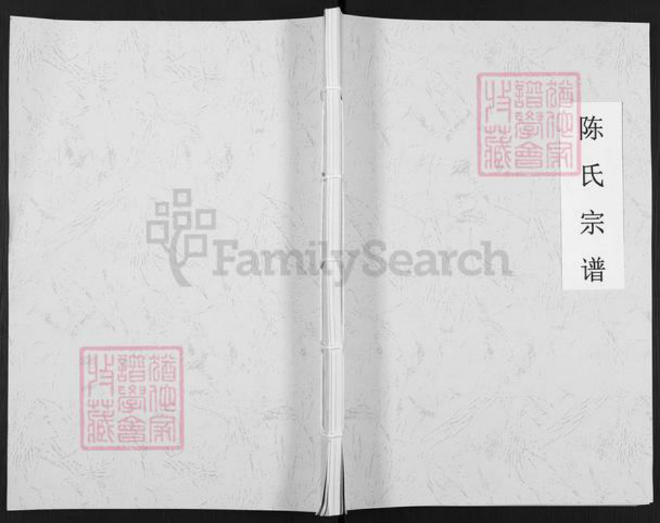 四川省泸州市叙永县分水镇陈氏族谱-陈氏宗谱.pdf电子版