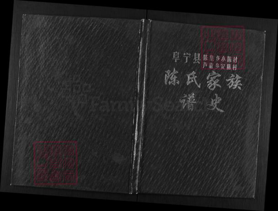 江苏省盐城市阜宁县陈集镇陈氏族谱-陈氏家谱.pdf电子版