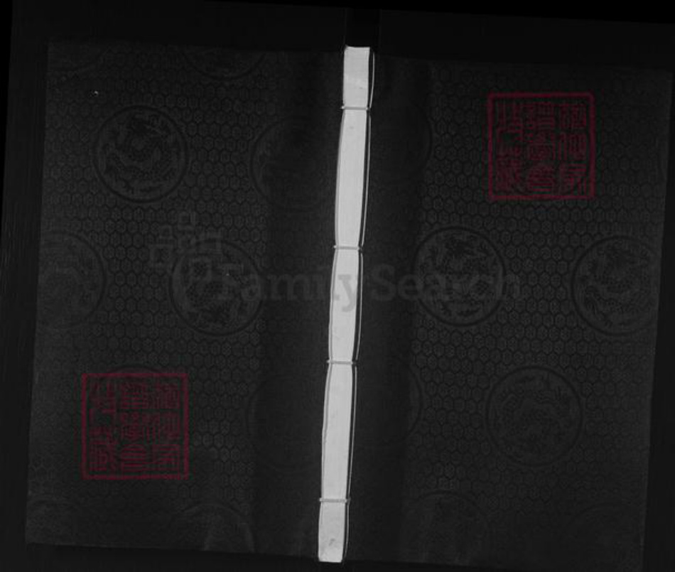 河北省沧州沧县薛官屯乡陈氏族谱-陈氏家谱.pdf电子版插图 河北省沧州沧县薛官屯乡陈氏族谱-陈氏家谱.pdf电子版插图