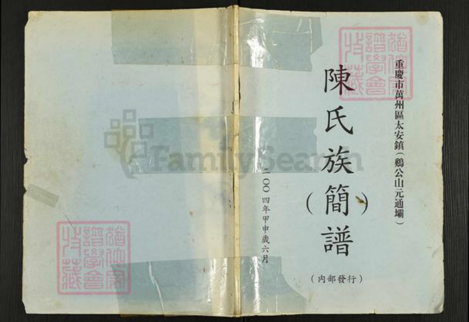 重庆市潼南区太安镇陈氏族谱-陈氏族(简)谱.pdf电子版插图 重庆市潼南区太安镇陈氏族谱-陈氏族(简)谱.pdf电子版插图