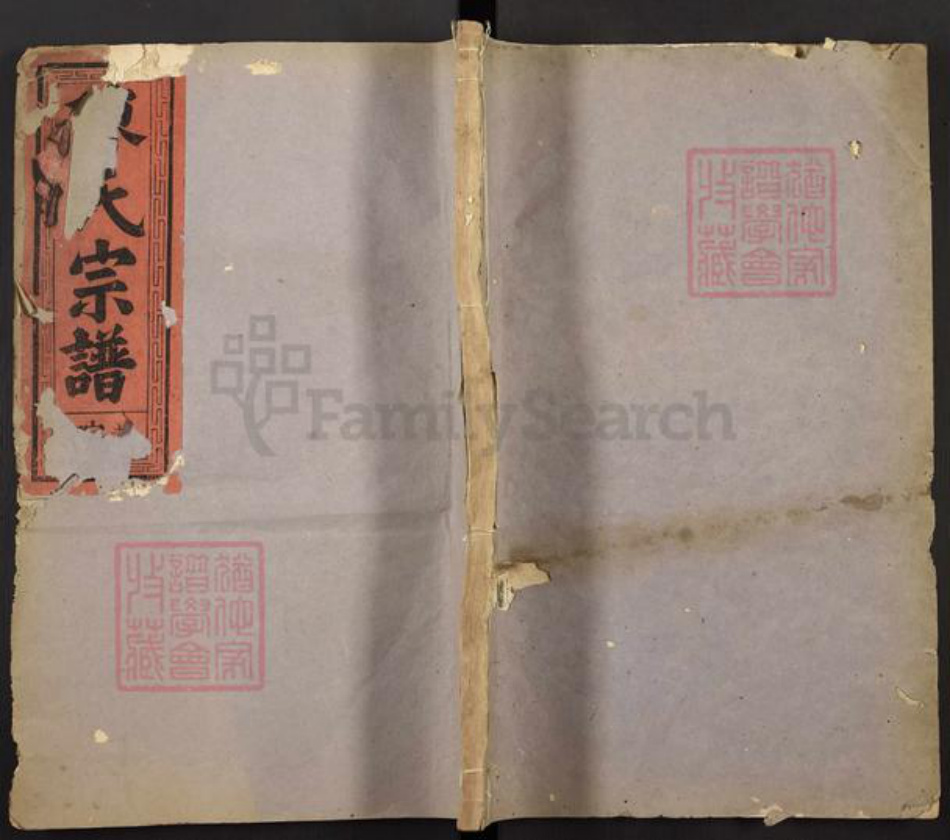 江西省抚州市南丰县白舍镇陈氏重华堂族谱-义门陈氏宗谱.pdf电子版