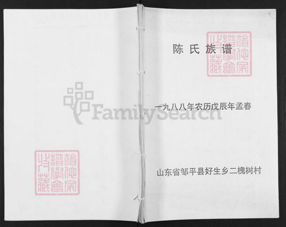 山东省滨州市邹平市好生街道陈氏族谱-陈氏族谱.pdf电子版