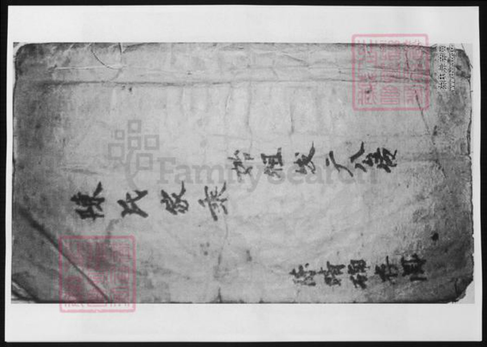 广东省河源市河源县陈氏族谱-陈氏家乘.pdf电子版