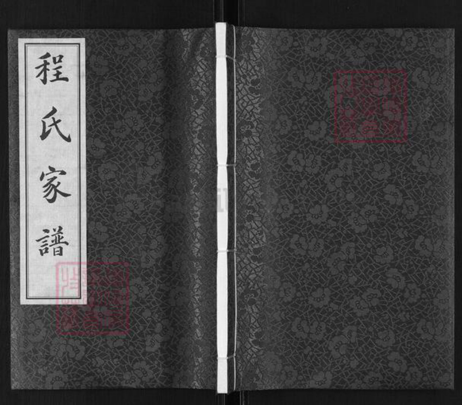 浙江省绍兴越城区程氏族谱-程氏家谱.pdf电子版