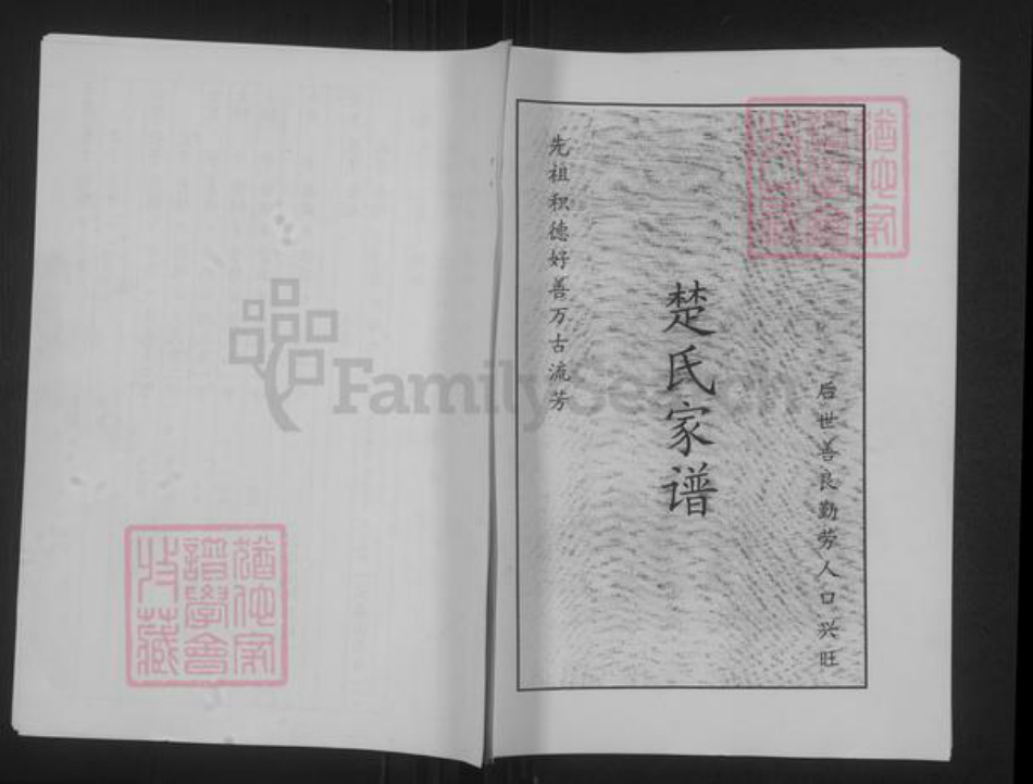 山东省聊城市聊城市沙镇镇楚氏族谱-楚氏家谱.pdf电子版插图 山东省聊城市聊城市沙镇镇楚氏族谱-楚氏家谱.pdf电子版插图