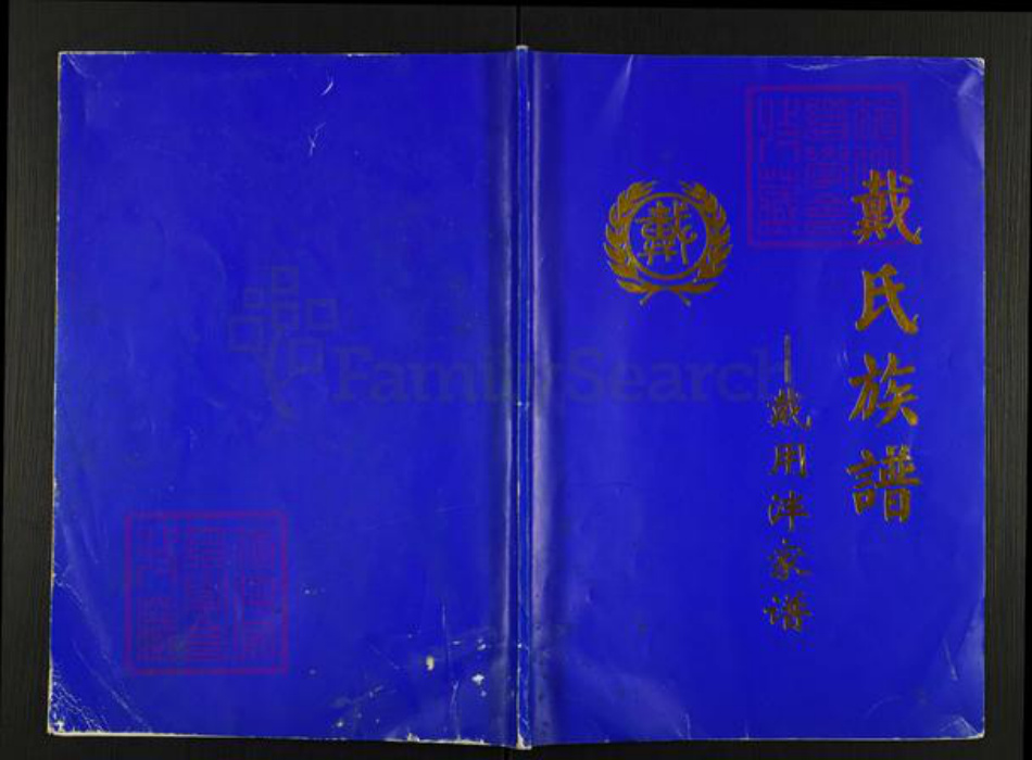 四川省资阳市安岳县护龙镇戴氏族谱-戴氏族谱.戴用泮家谱.pdf电子版
