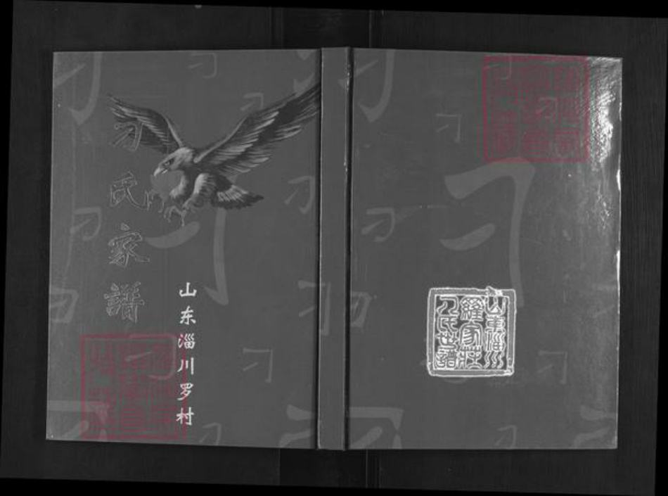 山东省淄博市淄川区刁氏族谱-山东淄川罗村刁氏家谱.pdf电子版