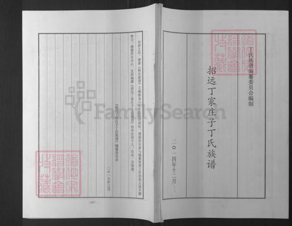 山东省烟台市招远市罗峰街道丁氏族谱-招远丁家庄子丁氏族谱.pdf电子版