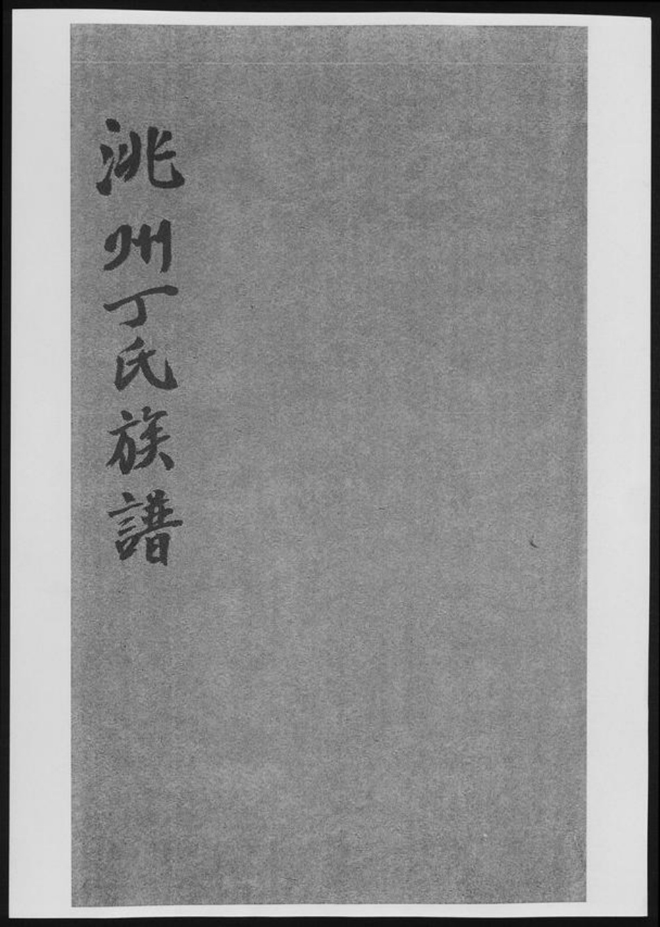 甘肃省甘南藏族自治州临潭县丁氏族谱-洮州丁氏族谱.pdf电子版插图 甘肃省甘南藏族自治州临潭县丁氏族谱-洮州丁氏族谱.pdf电子版插图