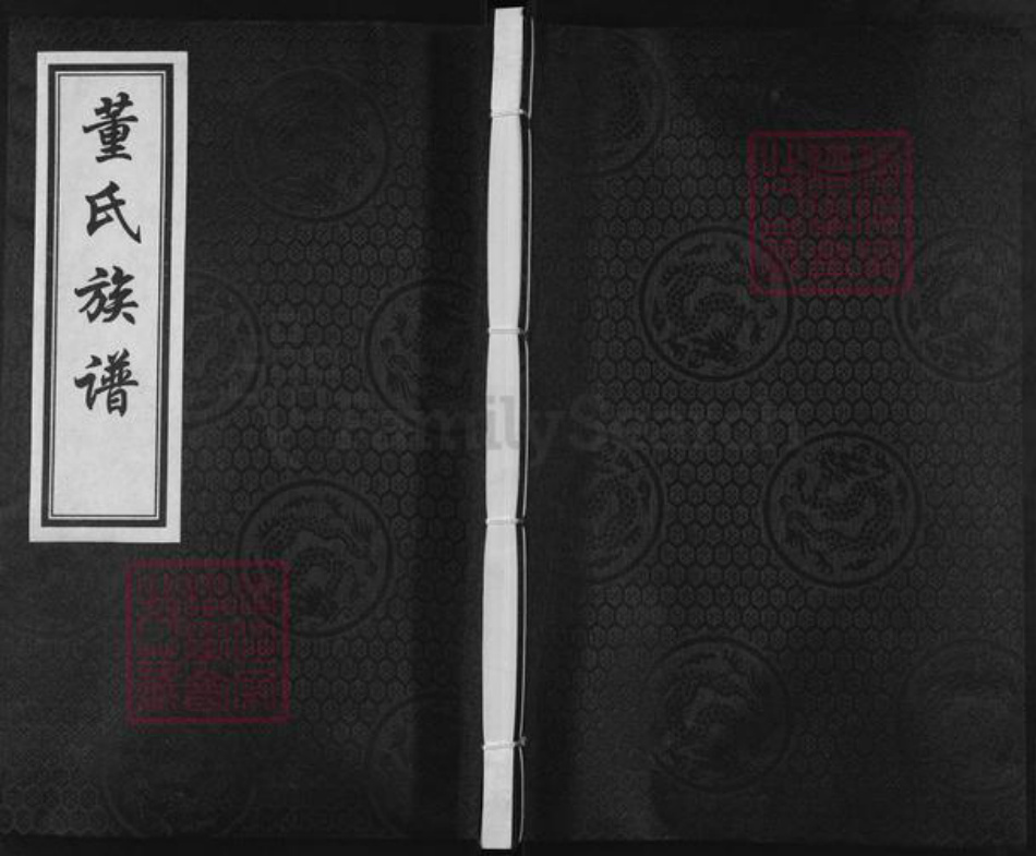 河北省沧州盐山县望树镇董氏族谱-董氏族谱.pdf电子版