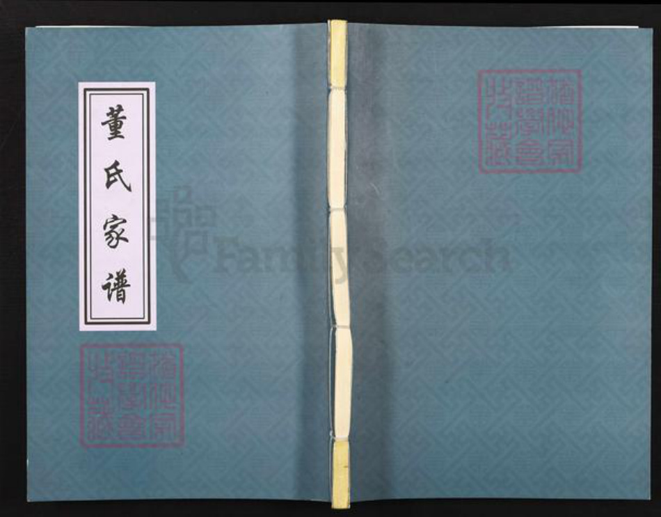 山东省淄博市张店区南定镇董氏族谱-董氏家谱.pdf电子版