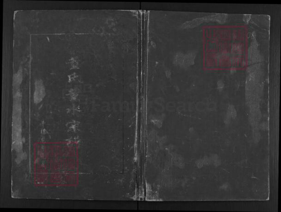 福建省厦门市翔安区新店镇董氏族谱-董氏董水宗谱.pdf电子版