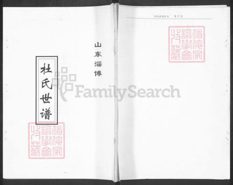 山东省淄博市淄川区杜氏族谱-杜氏世谱.pdf电子版