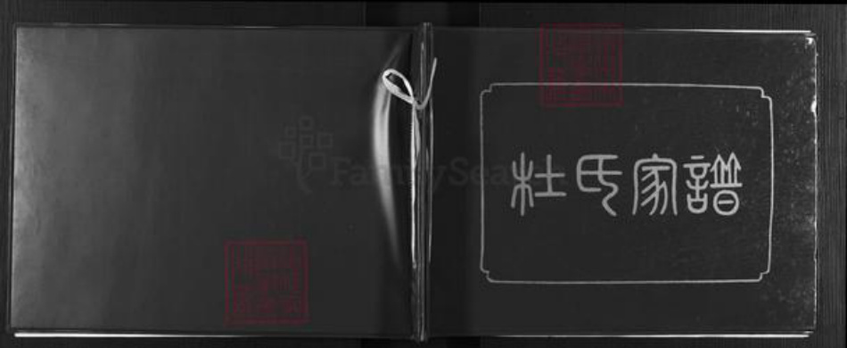 甘肃省庆阳市镇原县杜氏族谱-杜氏家谱.pdf电子版插图 甘肃省庆阳市镇原县杜氏族谱-杜氏家谱.pdf电子版插图