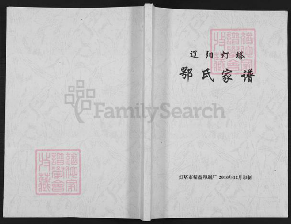 辽宁省辽阳市灯塔市鄂氏安平堂族谱-辽阳灯塔鄂氏家谱.pdf电子版