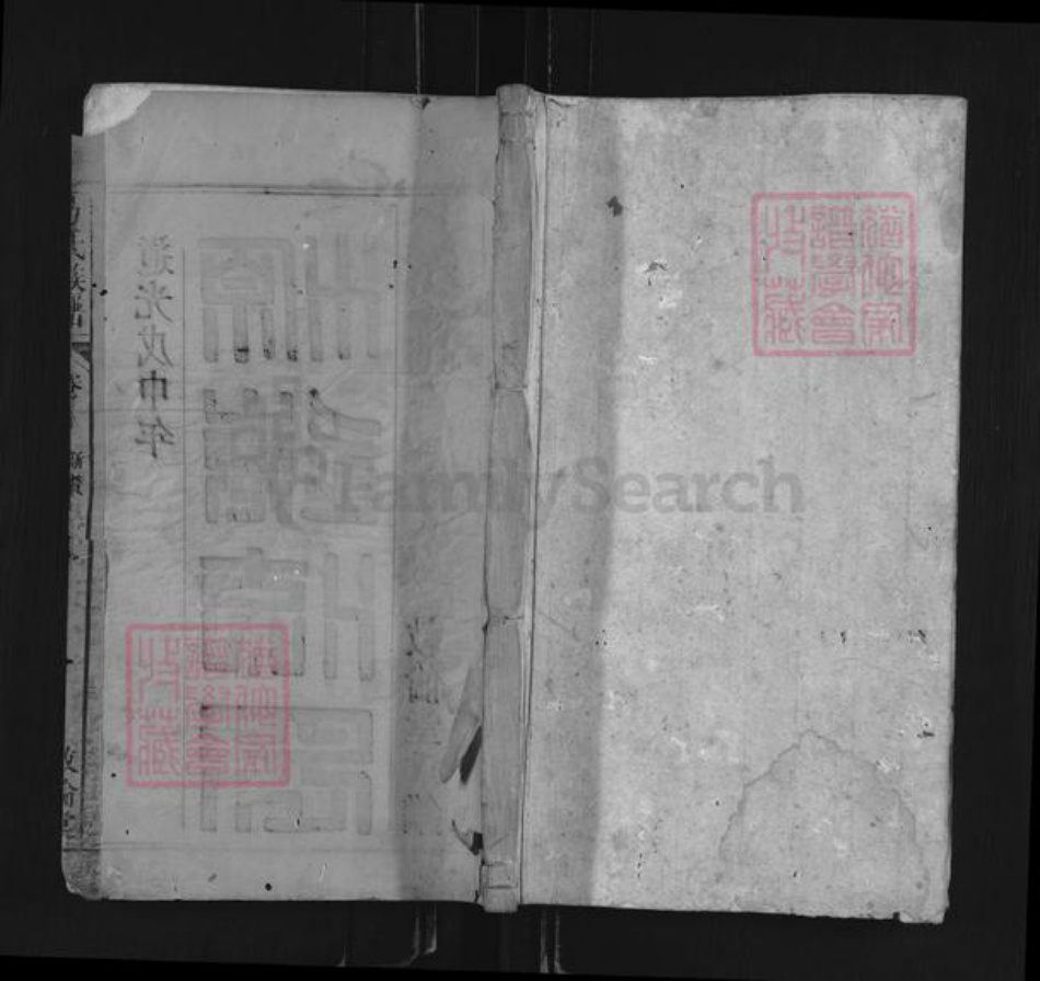 安徽省安庆市岳西县响肠镇方氏敦伦堂族谱-方氏族谱.pdf电子版插图 安徽省安庆市岳西县响肠镇方氏敦伦堂族谱-方氏族谱.pdf电子版插图