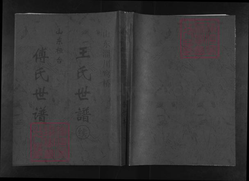 山东省淄博市桓台县新城镇傅氏族谱-傅氏世谱.pdf电子版插图 山东省淄博市桓台县新城镇傅氏族谱-傅氏世谱.pdf电子版插图