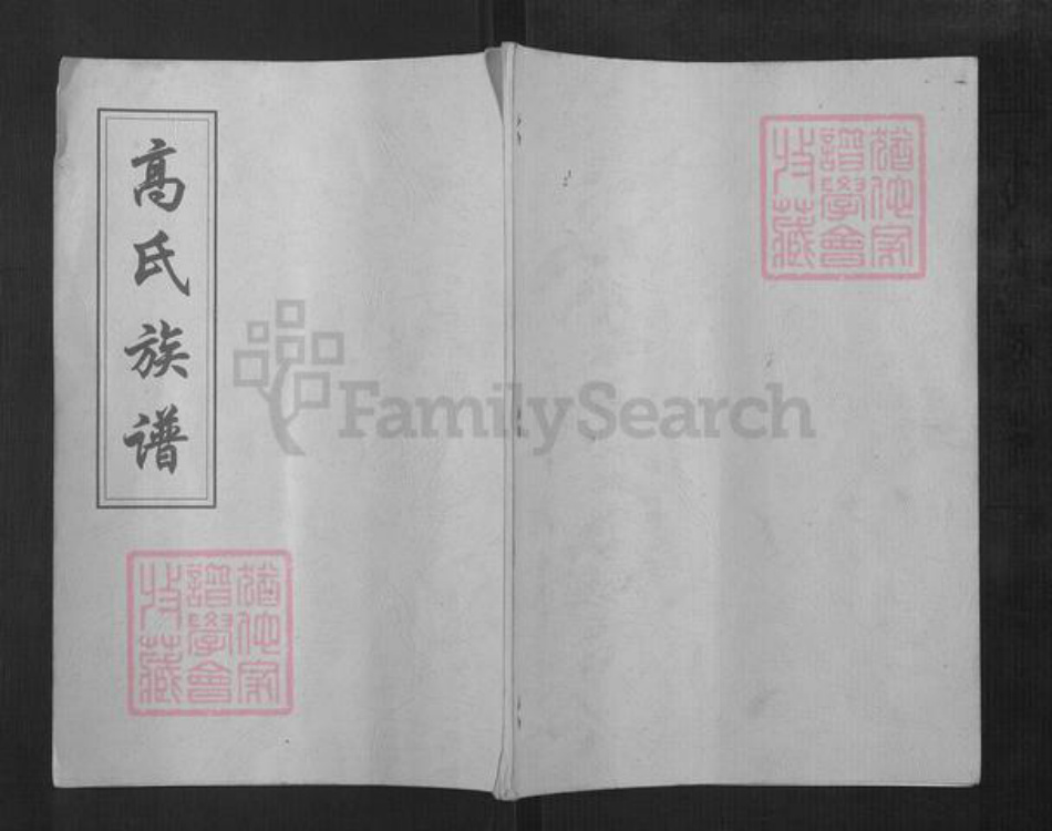 湖南省邵阳市高氏族谱-高氏族谱.pdf电子版插图 湖南省邵阳市高氏族谱-高氏族谱.pdf电子版插图