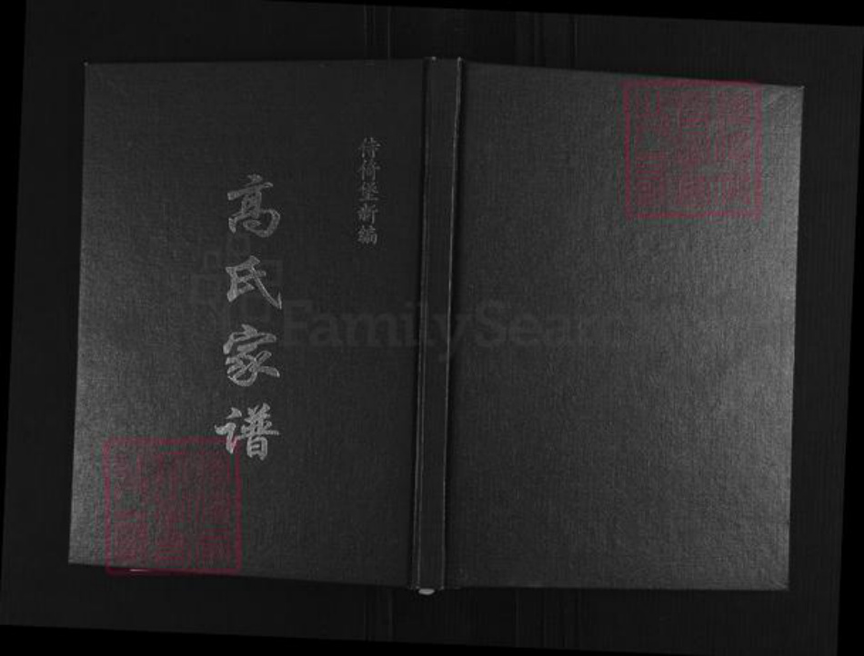 山西省忻州市繁峙县高氏族谱-高氏家谱.pdf电子版