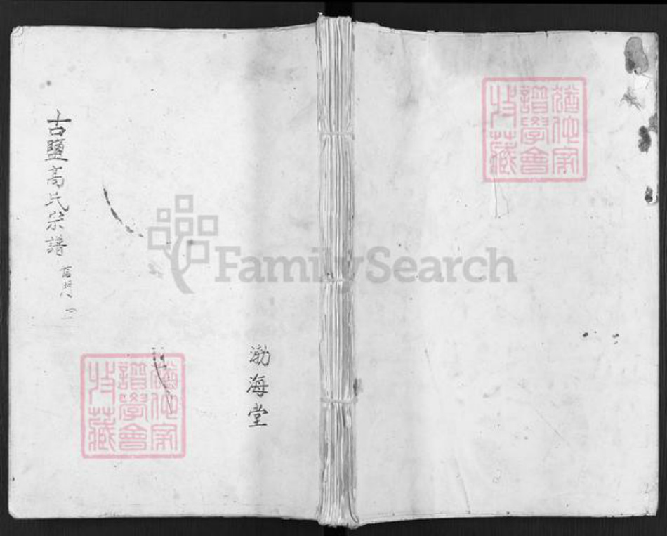 江苏省盐城市建湖县庆丰镇高氏渤海堂族谱-古盐高氏宗谱.信门.pdf电子版