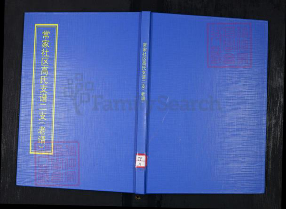 山东省青岛市崂山区高氏族谱-常家社区高氏支族谱二支(老谱).pdf电子版