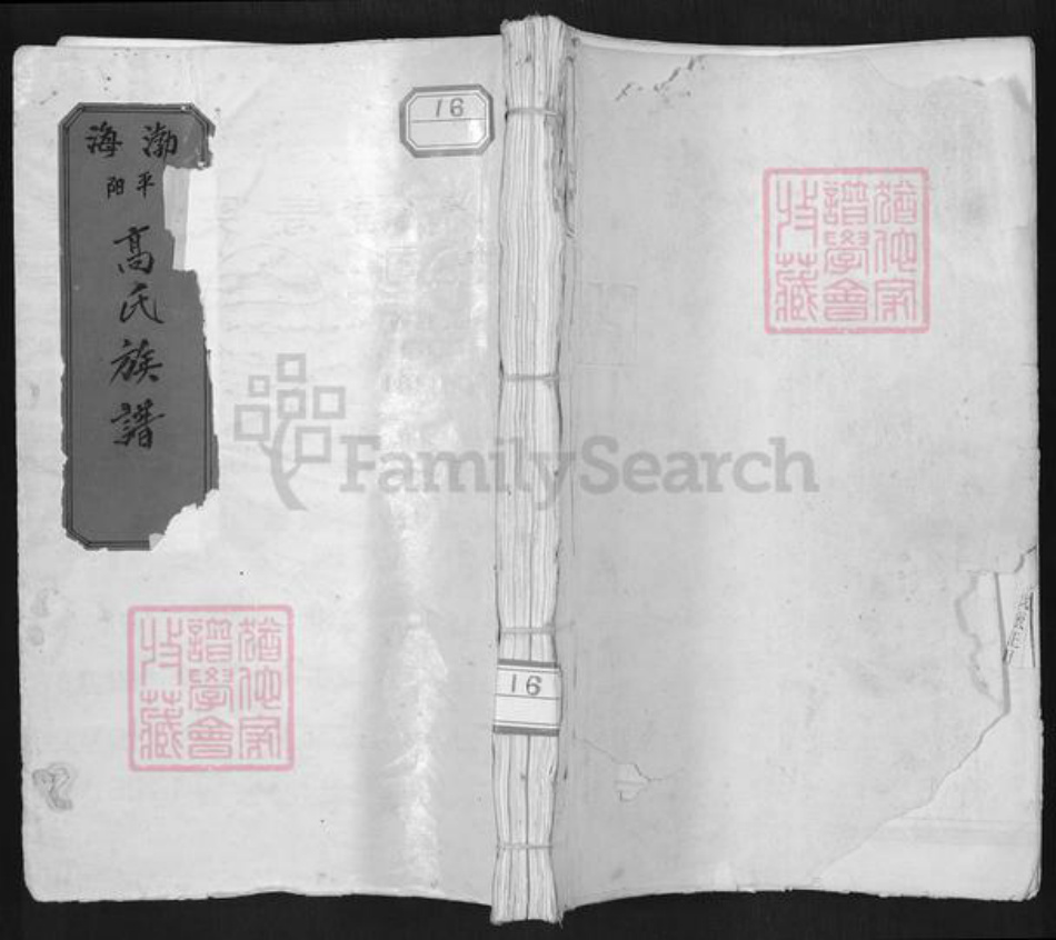 浙江省温州市平阳县昆阳镇高氏族谱-渤海平阳高氏族谱.pdf电子版插图 浙江省温州市平阳县昆阳镇高氏族谱-渤海平阳高氏族谱.pdf电子版插图