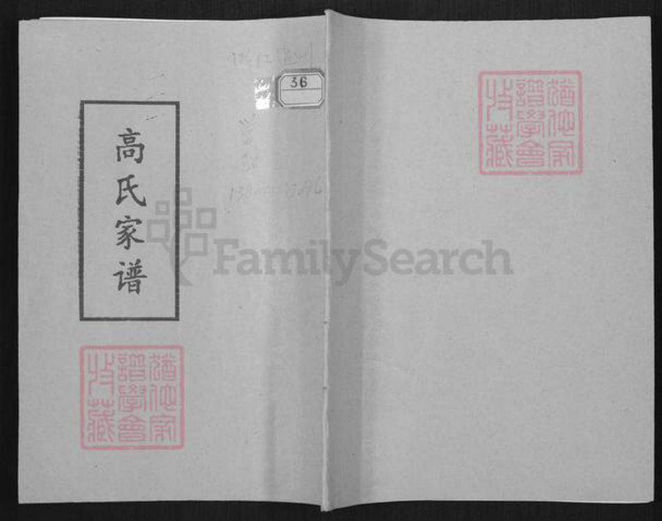 浙江省温州市平阳县昆阳镇高氏族谱-高氏家谱.pdf电子版