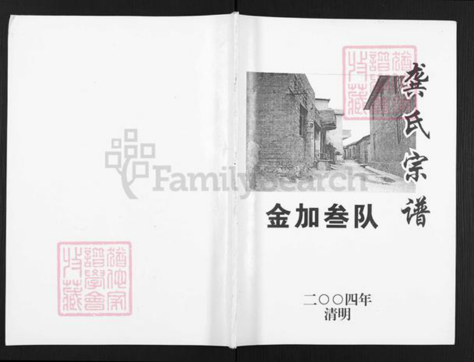 广西壮族自治区桂林市灵川县灵川龚氏族谱-龚氏宗谱.金加叁队.pdf电子版