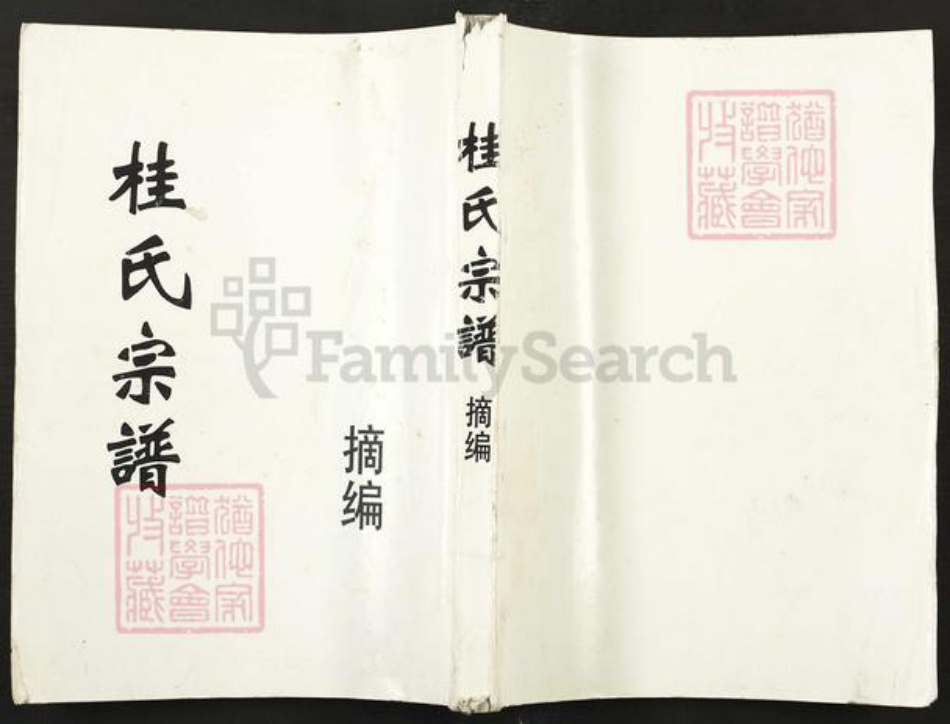 江西省鹰潭市贵溪市桂氏族谱-桂氏宗谱.pdf电子版插图 江西省鹰潭市贵溪市桂氏族谱-桂氏宗谱.pdf电子版插图